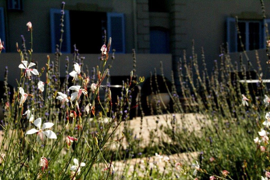 La Cabriere Country House Франшхоек Екстериор снимка